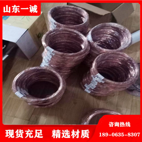 纯铜丝T2导电退火 红铜丝 直径0.2紫铜线捆装 冶金铜丝