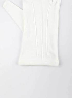 汉盾 HD-GP5501 涤纶22g 背三筋白色礼仪手套 （12付/打，260g/打