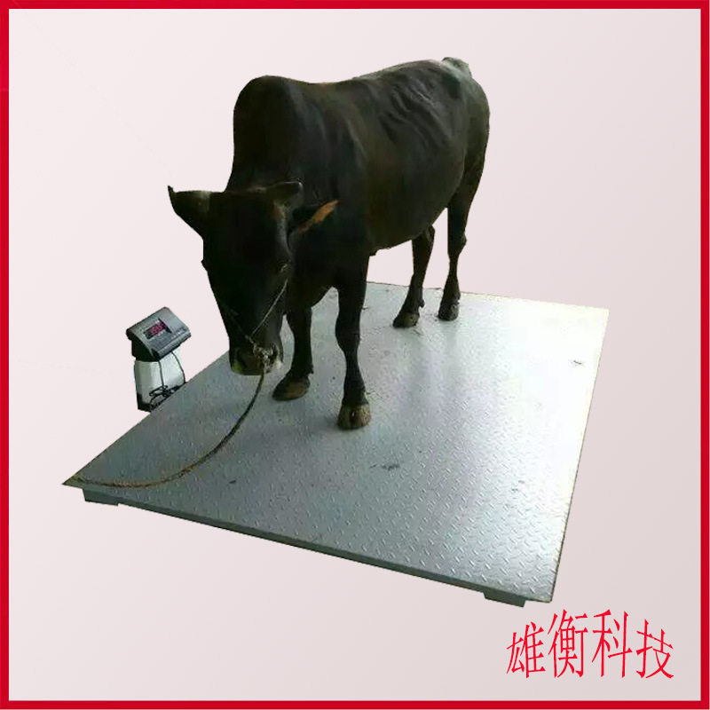 养殖场电子地磅秤 3吨称牛用小地磅 数显电子动物磅秤