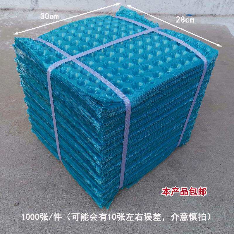 塑料隔板箱筐周转箱加厚鸡蛋塑料筐禽蛋长方形周转筐蛋筐鸡蛋大号