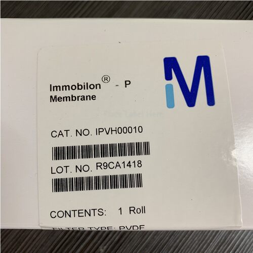 密理博PVDF膜 0.45um  Millipore转印膜 pvdf膜IPVH00010 印迹膜