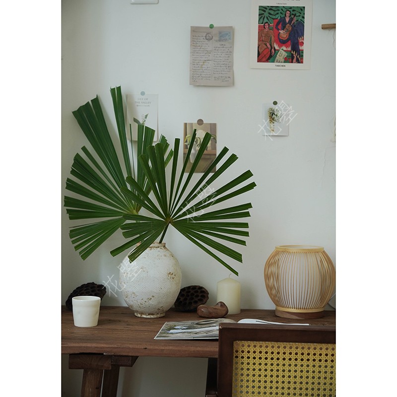 花曌 新鲜采摘棕榈叶 蒲葵鲜切枝 可做干花 家居瓶插花 手工陶罐