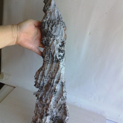 奇石风凌石水冲石戈壁沙漠石玉化泥石额河石文玩观赏假山盆景摆件