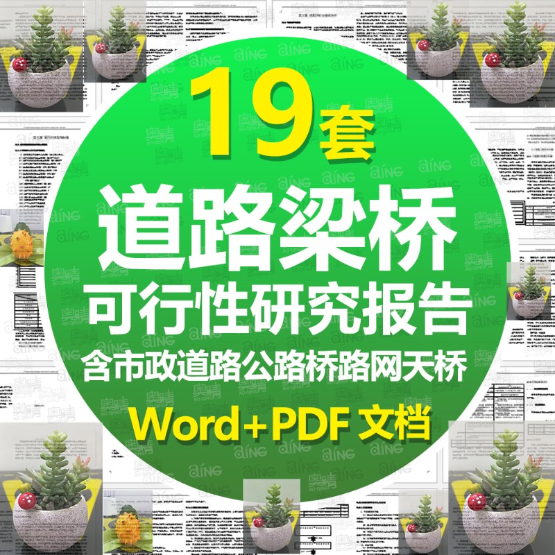 市政道路公路桥梁立交桥天桥可行性E研究报告初步设计文本计算概