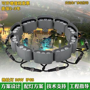 科锐光源LED抱树订DMX512RGB全彩外控照树订30W72W链条订抱柱订