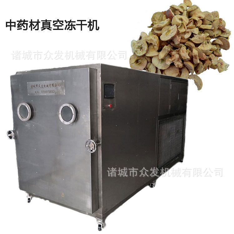 山东厂家生产果蔬脆皮冻干机余干子真空冻干机双孢菇低温干燥箱