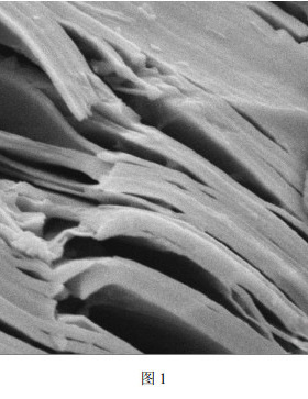 2-15μm 碳化钛（Ti2CTx）多层纳米片   500mg