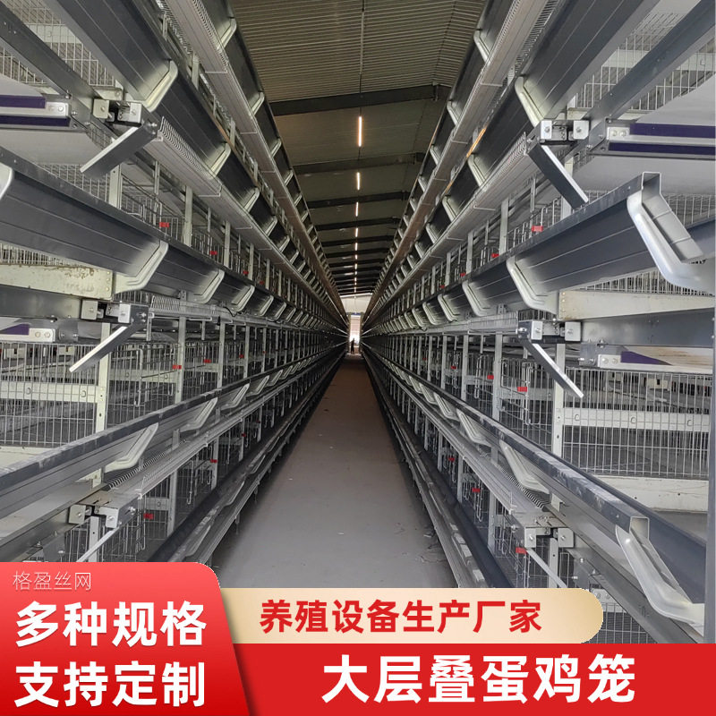 厂家供应全自动大层叠蛋鸡笼立式蛋鸡笼养鸡场养殖设备收蛋清粪