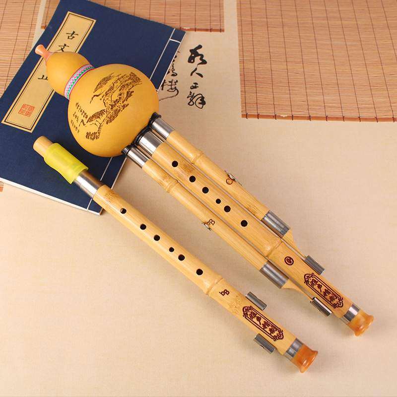 金丝楠竹双调葫芦丝C降B调葫芦丝学生初学演奏葫芦丝可拆卸乐器,鲜花速递/花卉仿真/绿植园艺,割草机/草坪机,淘宝优惠券,粉丝福利购,淘宝优惠卷