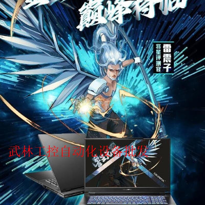 七彩虹将星x17pro i9 13900h+rtx4070+议价