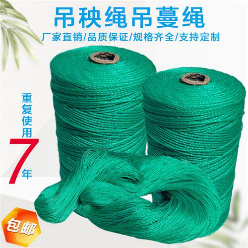 农用防老化吊蔓绳吊秧绳大棚用塑料绳子黄瓜西红柿绑蔓蔬菜吊绳