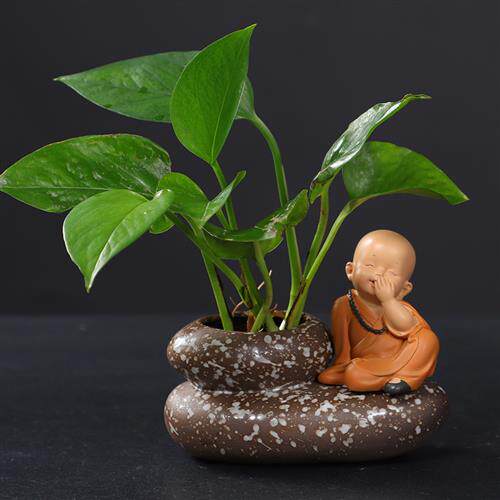 禅意陶瓷花盆小水培花器摆件铜钱草紫砂无孔家居插花鱼缸盆景装饰