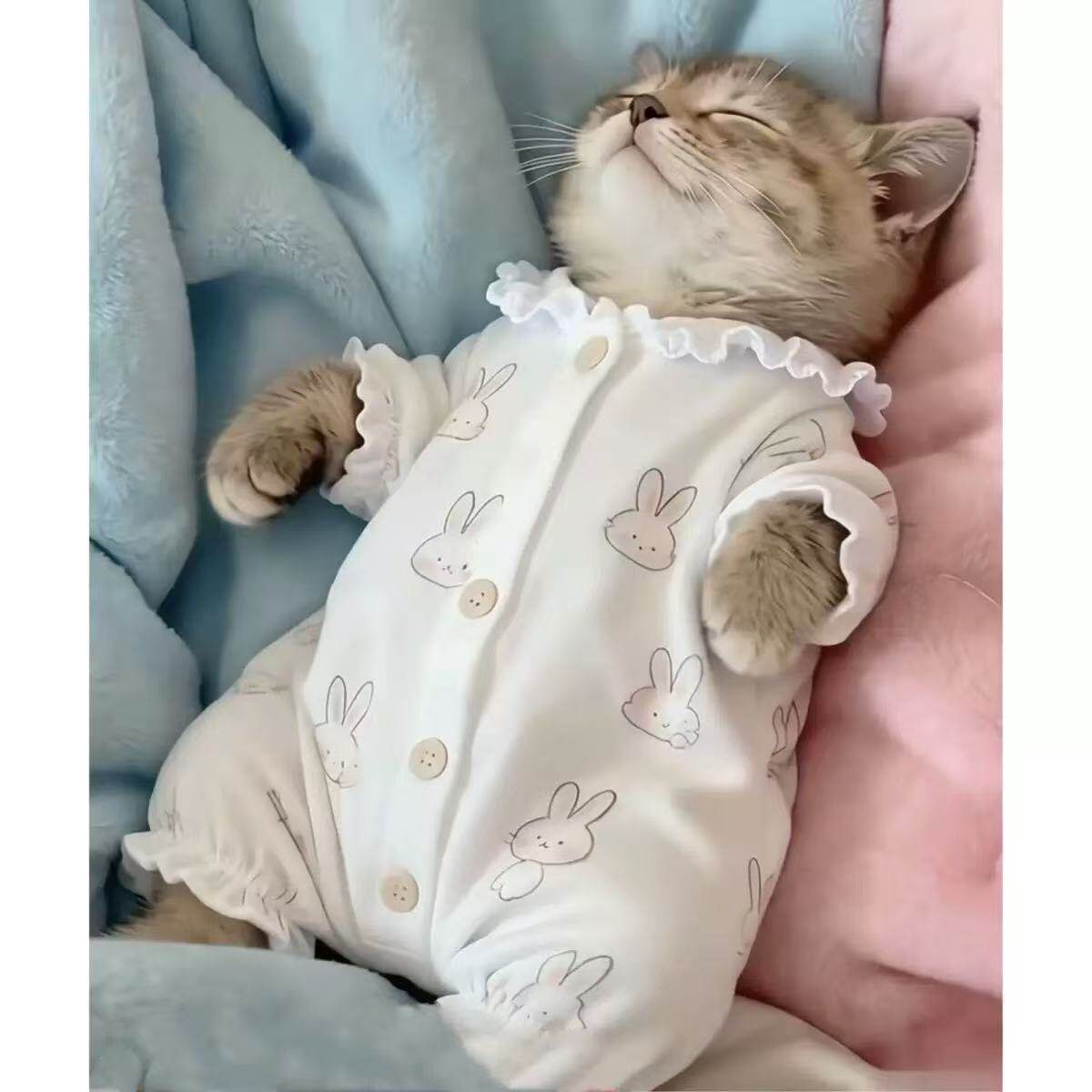 四季连体宠物衣服猫咪幼猫保暖防掉毛小型犬狗狗通用服饰