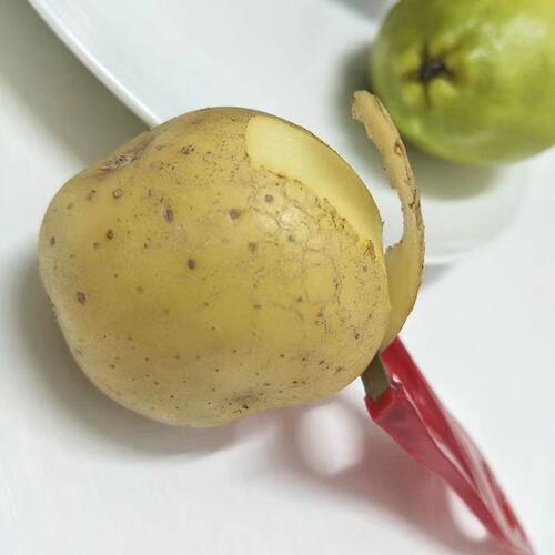 家用塑料多功能土豆蔬菜刨皮刀水果削皮刮皮塑料刨子