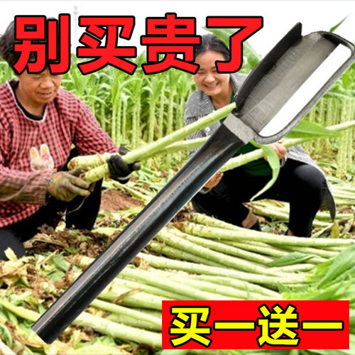 专业莴笋专用削皮刀莴苣削皮器莴笋刀贡菜苔干刨莴笋去皮刀商用