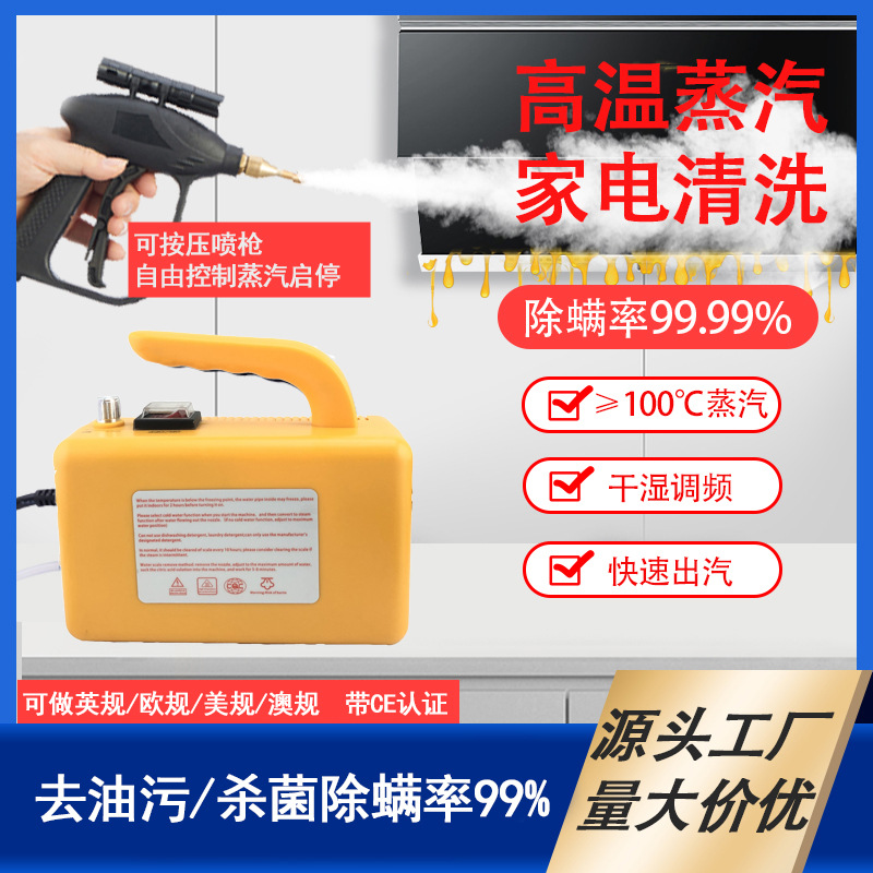 厂家 110V高温蒸汽清洗机空调厨房家电清洗设备家用蒸汽清洁器