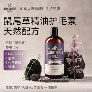 BlackSheep狗狗护毛素柔顺鼠尾草精油泰迪比熊猫咪金毛专用护发素