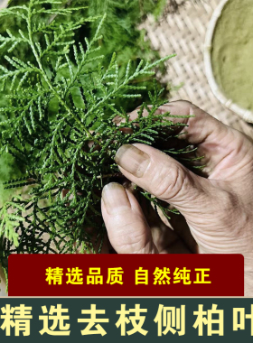 村姑玲侧柏叶粉广西大山野生纯天然洗头粉养发粉绿色无添加