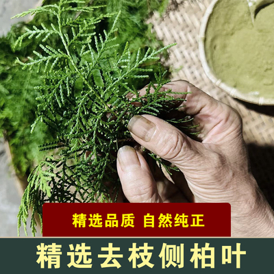 广西野生侧柏叶粉洗头粉养发粉