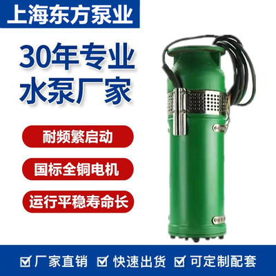 上海东方喷泉泵QSP景观喷泉假山别墅小区喷泉专用潜水泵
