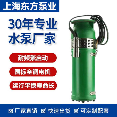 上海东方喷泉泵QSP景观喷泉假山别墅小区喷泉专用潜水泵