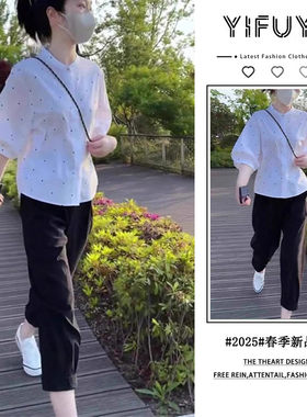 胖东来单件/韩系立领波点减龄夏新装休闲衬衫穿搭女气质上衣宽松