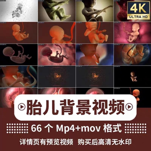 孕妇检查医院产检B超胎儿待产报告单检血HCG彩超ai矢量设计