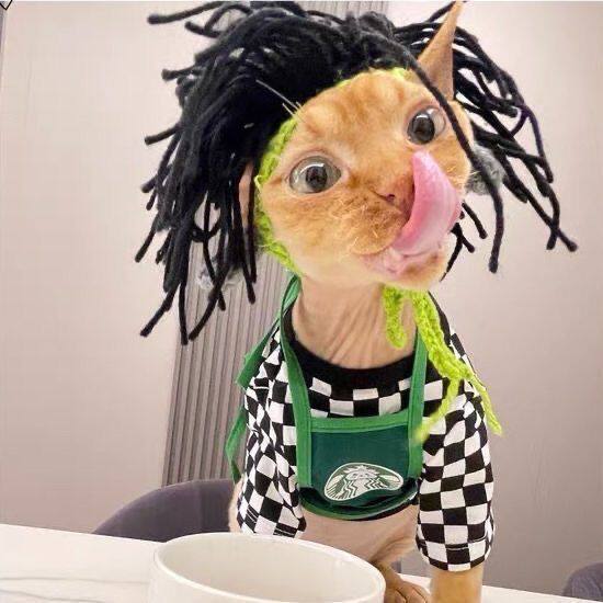 斯芬克斯猫咪朋克毛线变装头套狗狗搞怪可爱宠物搞笑装饰帽子