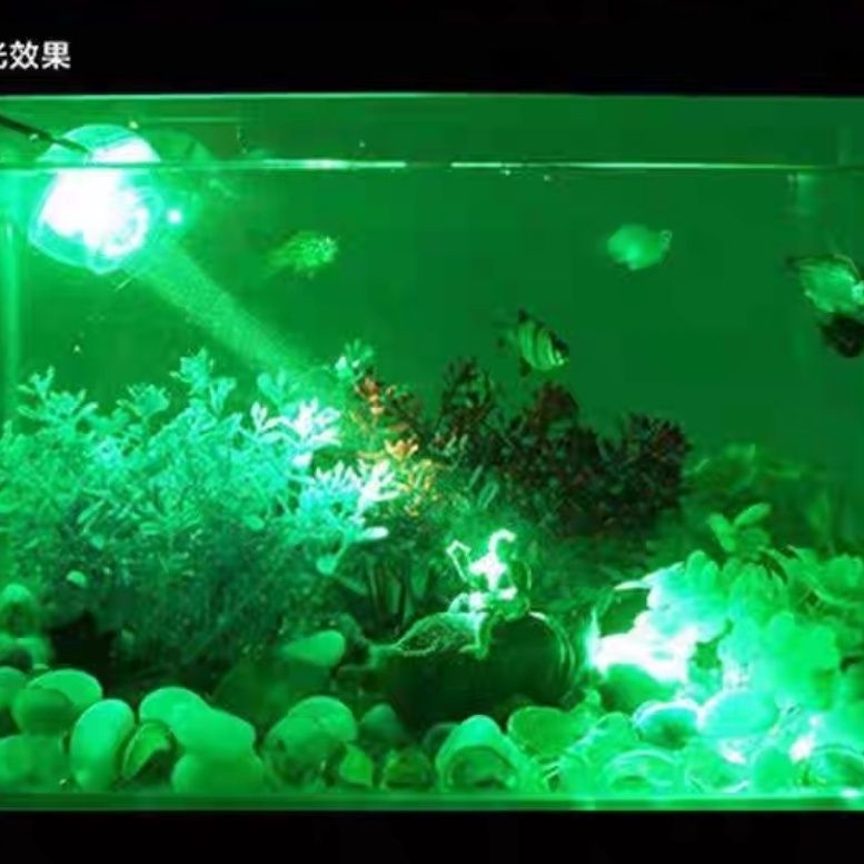 鱼缸灯增艳 led灯防水小型夹灯超亮潜水灯装饰灯七彩射灯照明灯