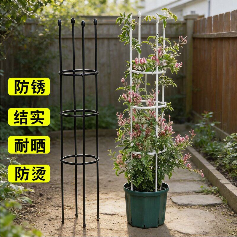 阳台室外月季花攀爬架室内铁线莲藤蔓园艺爬藤支撑组装花架子