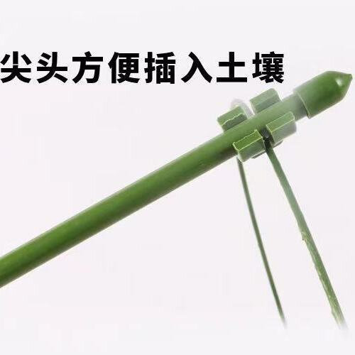 拱形蔓藤植物支撑杆蝴蝶兰金钱树爬藤花架花卉造型铁条塑形铁丝