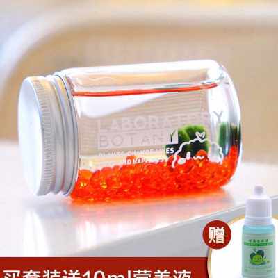 新品小海藻球生态瓶虾微景观造景成品免打K理观赏随身套装密封水