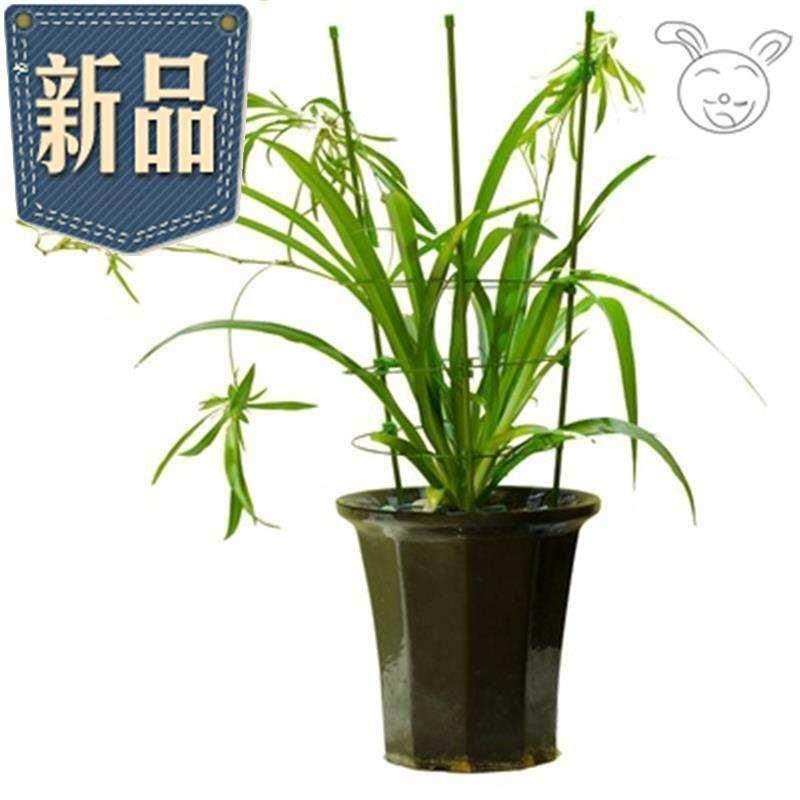 极速~。花的架子 支撑立杆式花架C不v锈钢阳台户外室内北欧家用悬