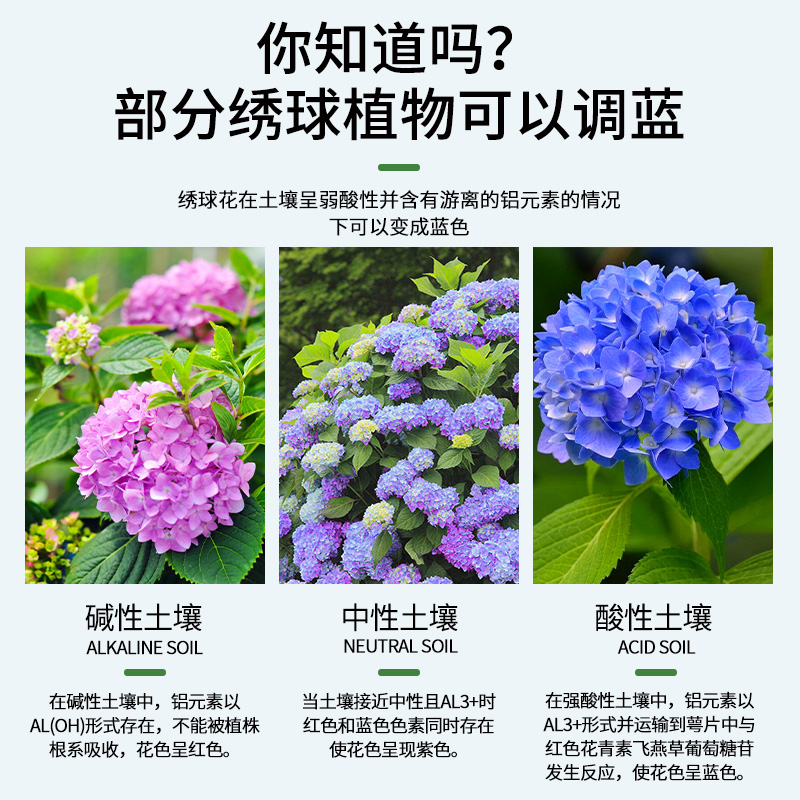 极速绣球调蓝剂硫酸铝调色u剂调节土壤酸碱养花肥料植物开花专用