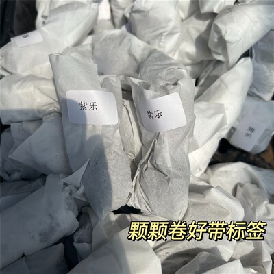 极速Green Flocking Artificiayl Succulents Plants Home Garden