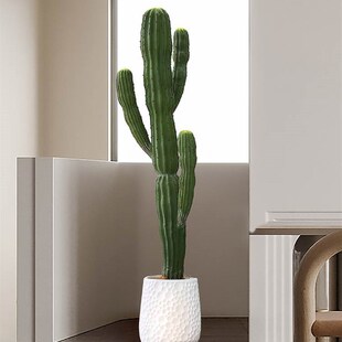 新品 饰摆W饰盆栽室内 仿真植物摩洛哥仙人掌盆栽仙人柱盆景落地装