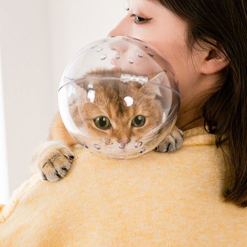 新品伊丽莎白圈猫绝育项圈太w空头罩防舔防咬打架咪脖圈颈圈小头