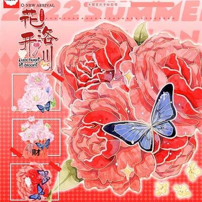 新品现货cNEW 大狸家手账胶带特材手账和纸PET 集市首发