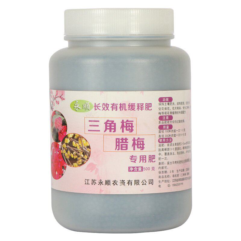 新品龙沙宝石耐寒金丝雀欧月梅花树花肥料切花三角.梅腊梅树状