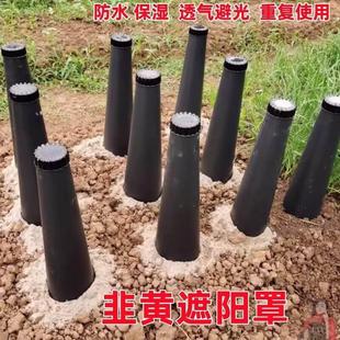 极速韭黄遮阳罩韭k黄种植筒蒜黄黑子PVC软化套遮光农用隔光透气圆