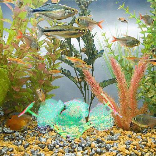 极速1Pcs Colorful Silqicone Simulation Coral Ornaments Reali