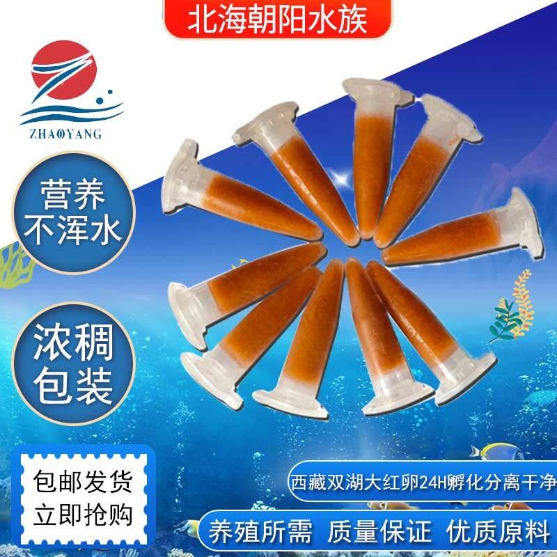 冰冻丰年虾鱼食大红卵卤幼孔雀鱼灯科鱼免孵化鱼粮鱼饲料丰年虾卵
