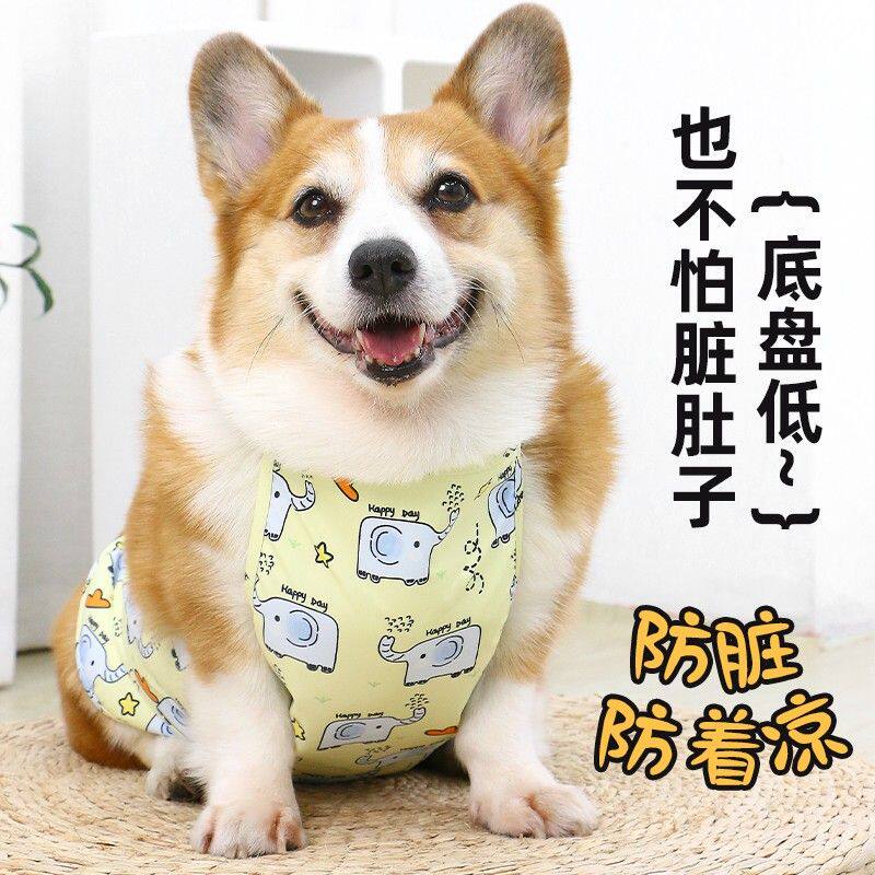 宠物狗狗防水肚兜防脏防潮护肚着凉保暖加厚外出四季公母通用肚兜