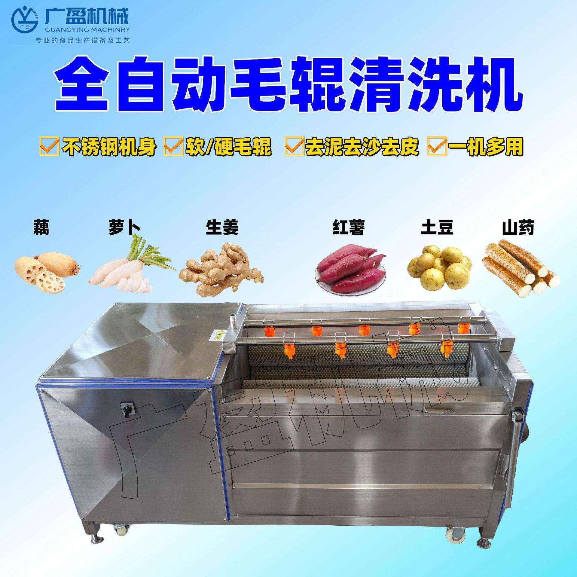 多功能商用清洗机凤梨土豆红薯蔬菜洗菜机不锈钢毛辊清洗机
