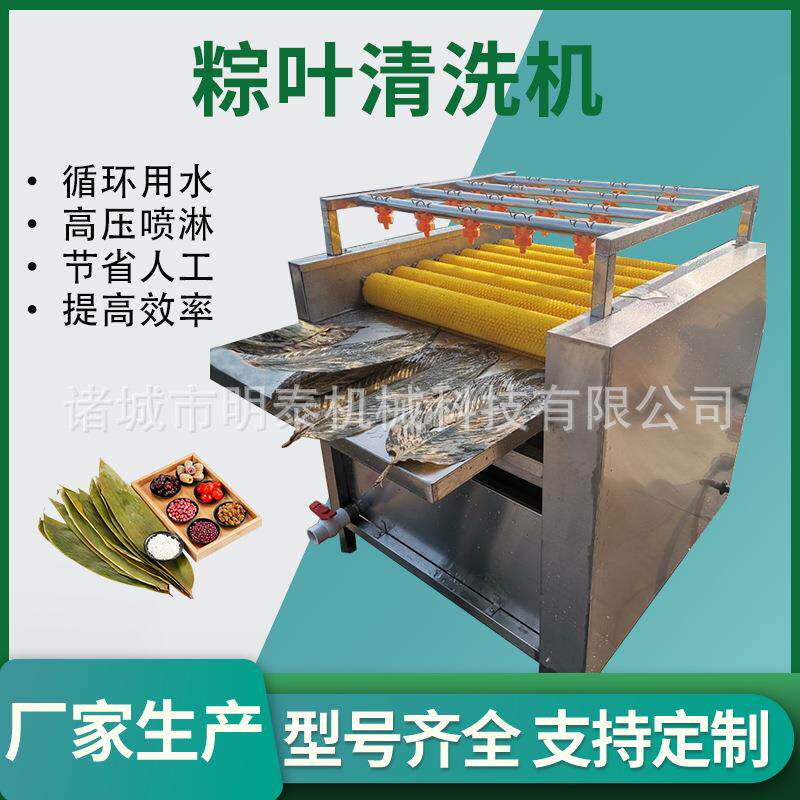 全自动粽叶清洗机菠萝叶双层毛刷清洗设备槲树叶苇叶连续清洗机