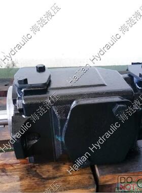 T6DC-042-017-1R03-B1叶片泵-克令吊吊钩