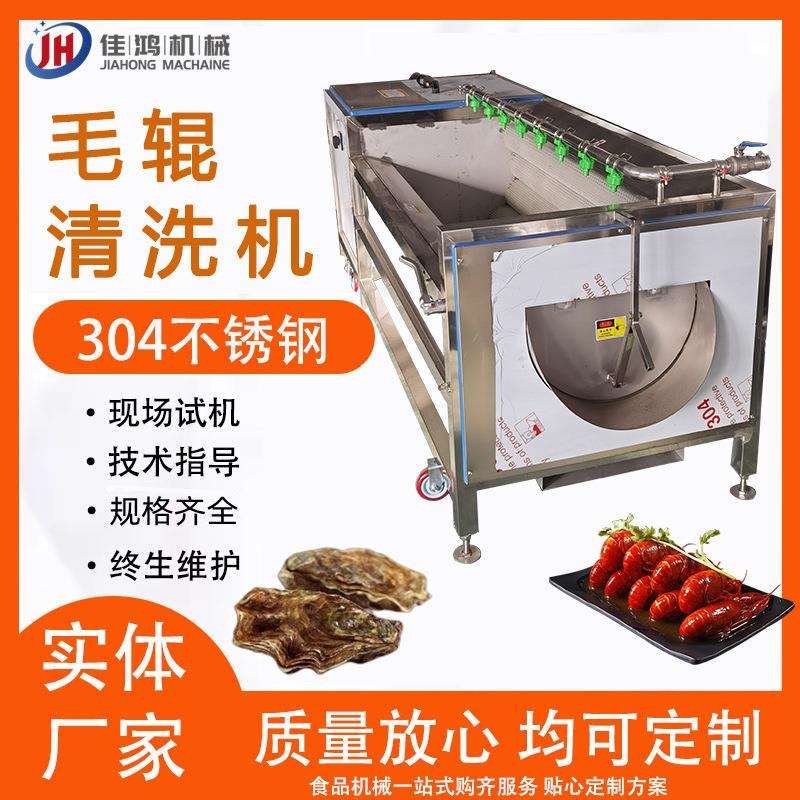 全自动毛辊清洗机高压喷淋式土豆去皮机萝卜蔬菜毛辊清洗机佳鸿