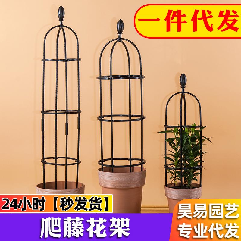 花架爬藤架铁线莲花支架绿萝月季蓝雪花架子户外铁艺花盆绿植藤蔓
