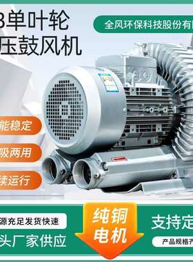 气力输送颗粒冲床机用高压风机5.5KWRB-81D-2漩涡风机用TWYX