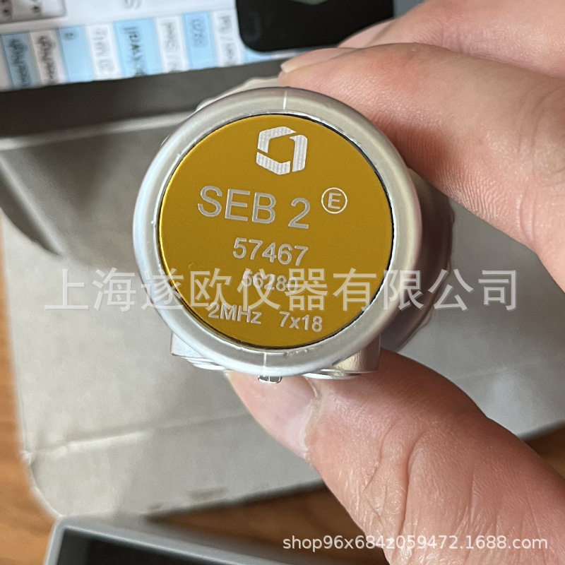 原装GE贝克休斯SEB2双晶探头